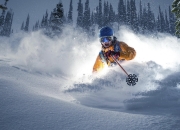 九游VIP-诺里斯点燃赛场，索伯轻取哈斯背后的战略革命