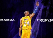 九游娱乐网站-快船力克魔术，字母哥扛起全队，孤胆英雄与团队胜利的现代寓言