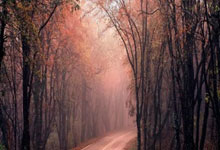 九游体育APP下载-关于日本羽毛球队绝杀中国羽毛球队，陶菲克绝境逆转的信息