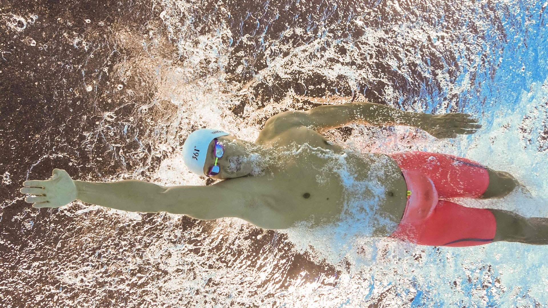 王权与王冠，当萨克拉门托的国王与欧洲赛场的福克斯同时加冕