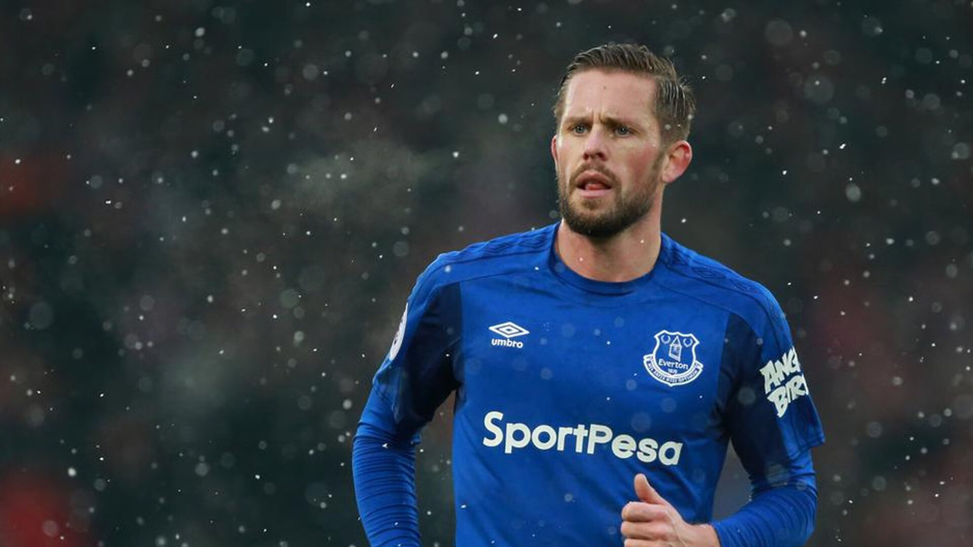 绿茵场上的震撼与球台上的烈焰，奥地利足球的崛起与樊振东的统治时刻